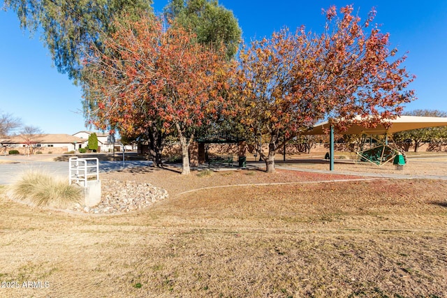 view of yard with a playground