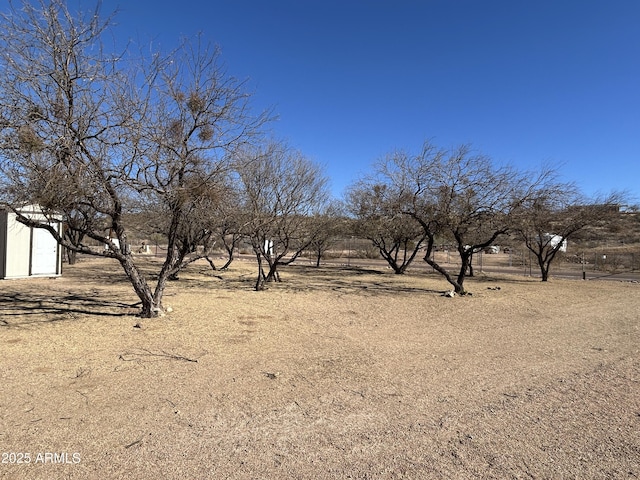 view of local wilderness