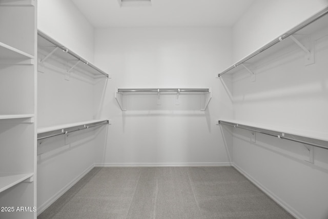 spacious closet with light carpet