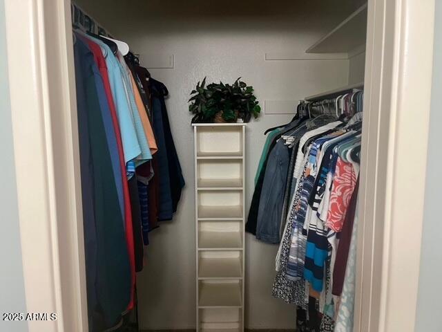 view of walk in closet