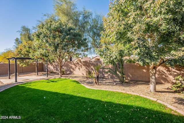 view of yard featuring a pergola