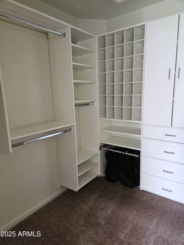 walk in closet featuring dark colored carpet