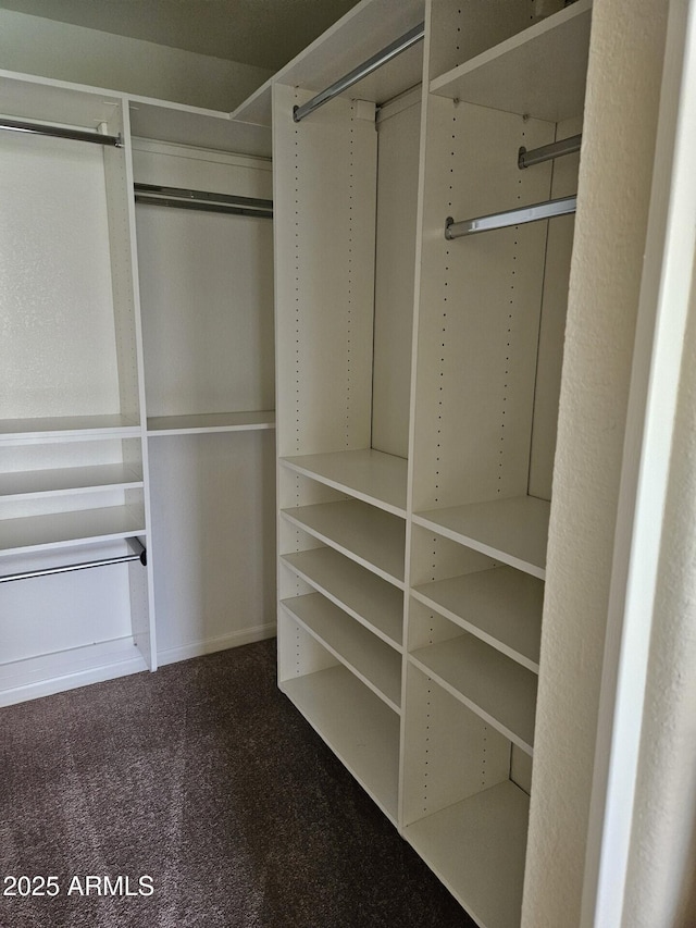 spacious closet with carpet