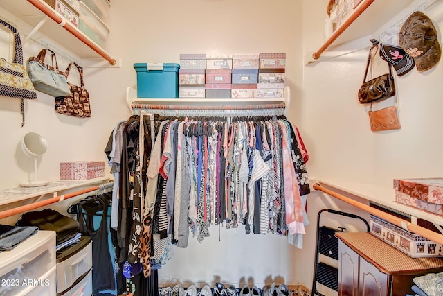 view of spacious closet