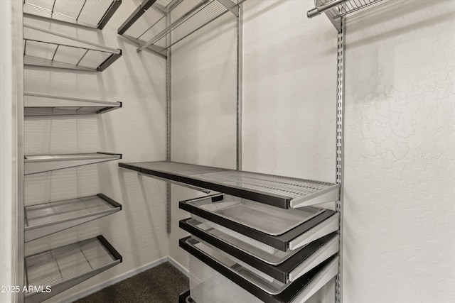 662 S Saddle St, Gilbert, AZ 85233 - spacious closet with carpet floors