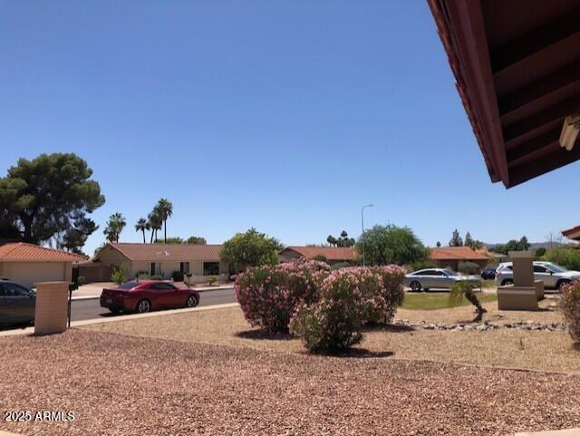 1156 E Vinedo Ln, Tempe, AZ 85284 - view of yard