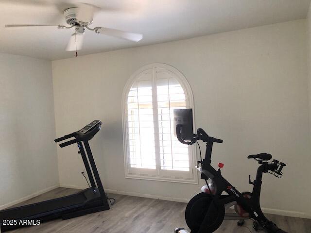 1156 E Vinedo Ln, Tempe, AZ 85284 - workout room with light wood finished floors, baseboards, and ceiling fan