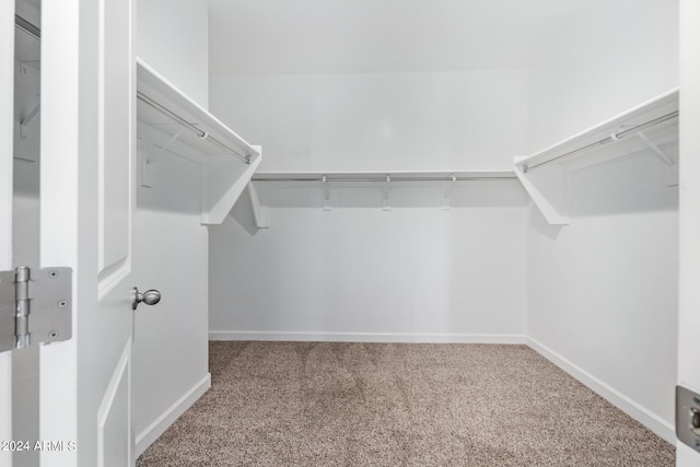 walk in closet with carpet