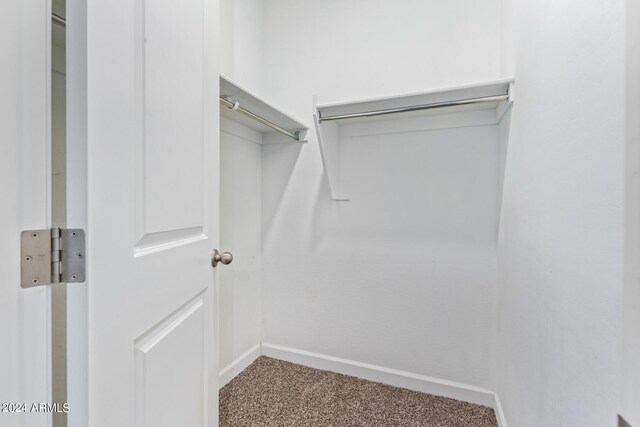 walk in closet with carpet