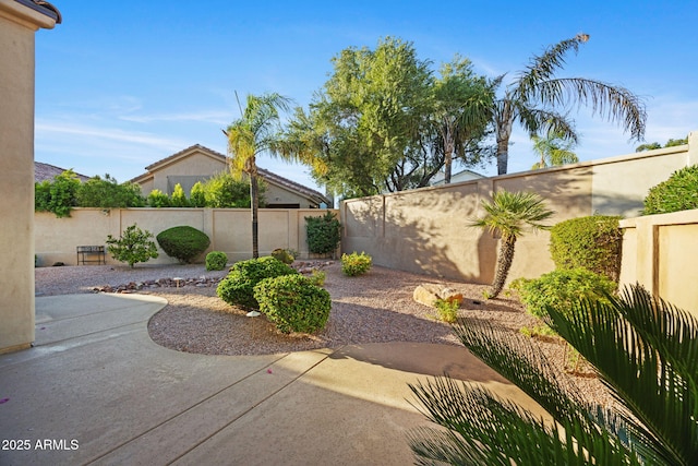 11816 E Terra Dr, Scottsdale, AZ 85259 - fenced backyard featuring a patio area