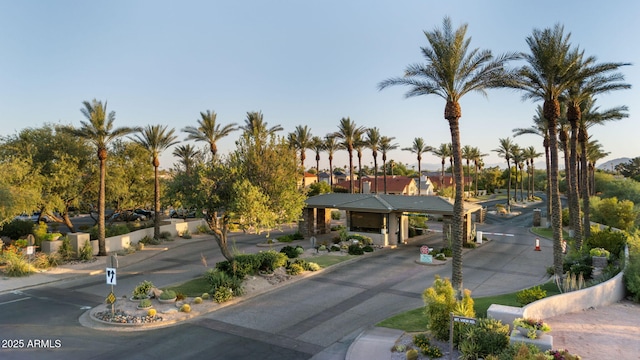 11816 E Terra Dr, Scottsdale, AZ 85259 - view of asphalt road featuring curbs and traffic signs