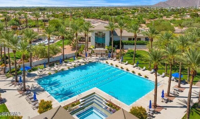 11816 E Terra Dr, Scottsdale, AZ 85259 - community pool with a mountain view