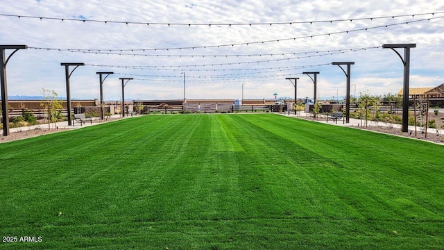 3322 E Valleyhigh Trl, San Tan Valley, AZ 85143 - view of yard