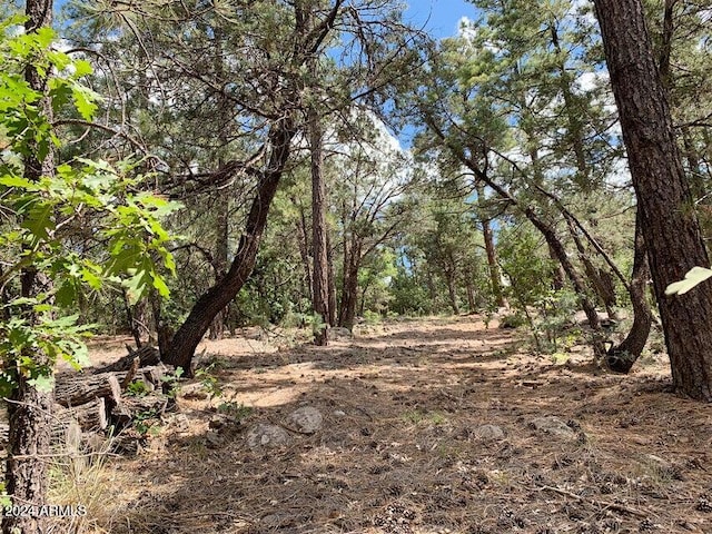 Listing photo 3 for 953 Miramon Dr Unit 199D, Lakeside AZ 85929