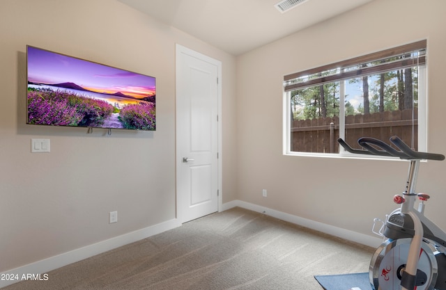 workout area featuring carpet flooring