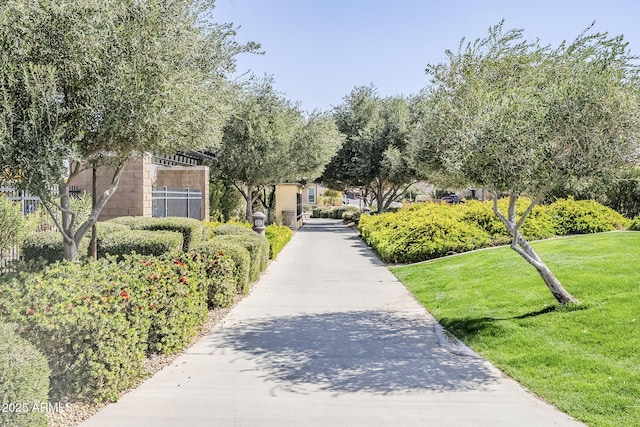 view of property's community featuring a yard