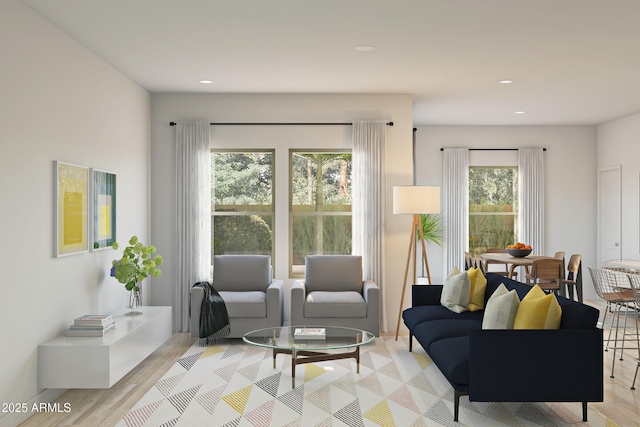 living room featuring light hardwood / wood-style flooring