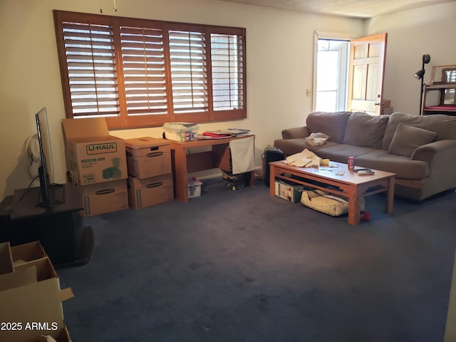 living room with dark colored carpet