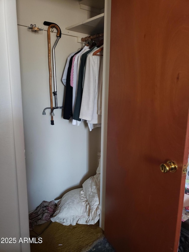 view of closet