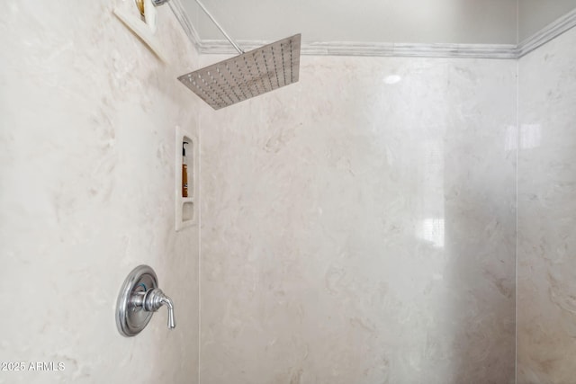 bathroom view of a shower