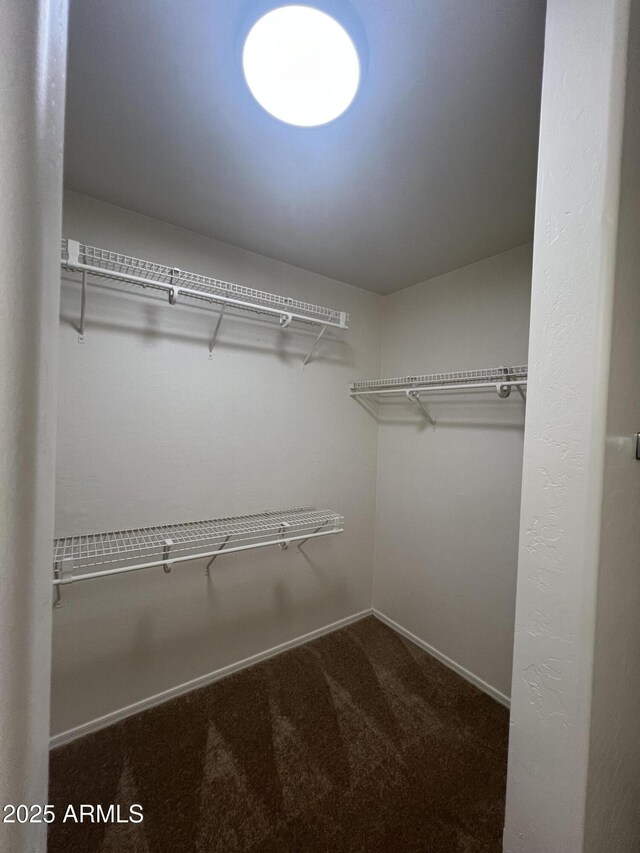 13004 W Saint Moritz Ln, El Mirage, AZ 85335 - walk in closet featuring carpet flooring