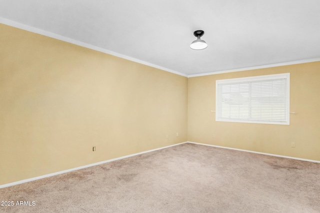 carpeted spare room featuring crown molding and baseboards