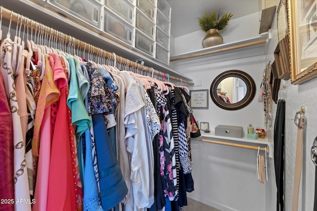 spacious closet with carpet