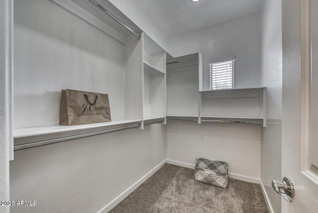 815 E Rose Ln Unit 105, Phoenix, AZ 85014 - spacious closet featuring carpet floors