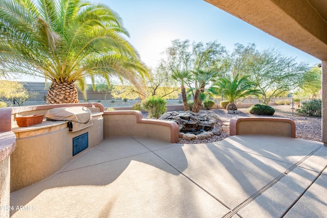 view of patio / terrace featuring an outdoor kitchen and area for grilling