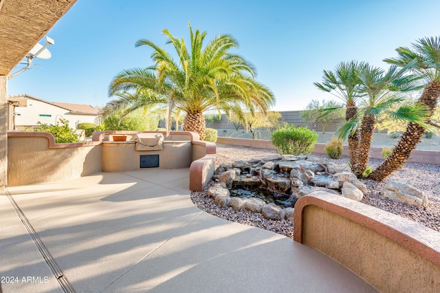 view of patio featuring an outdoor kitchen