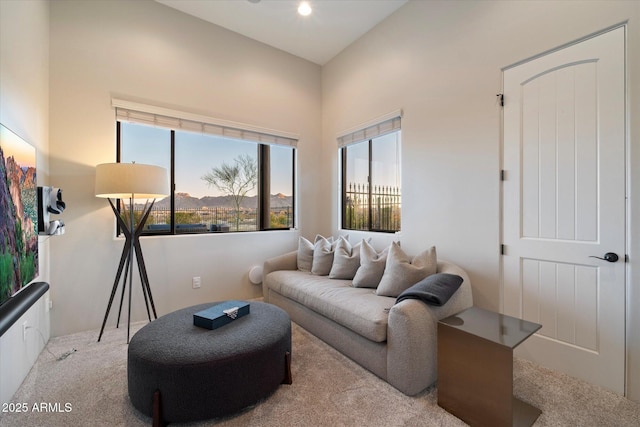view of carpeted living area