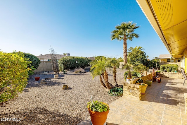 view of yard with a patio