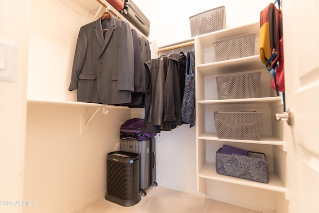 view of walk in closet