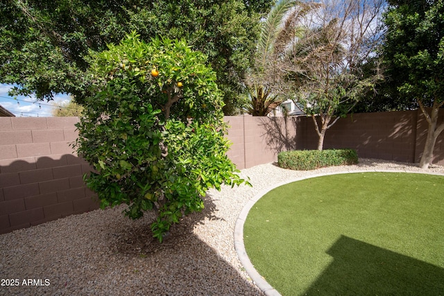 view of yard featuring a fenced backyard