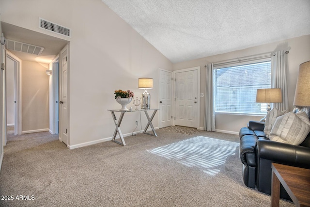 living area with carpet flooring, a textured ceiling, and lofted ceiling