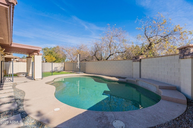 view of pool with a patio area