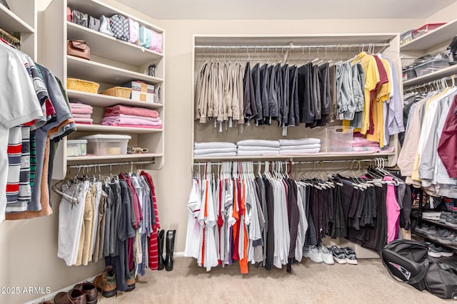 spacious closet with carpet flooring