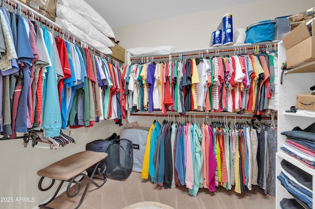 3214 N 138th Dr, Avondale, AZ 85392 - spacious closet with carpet