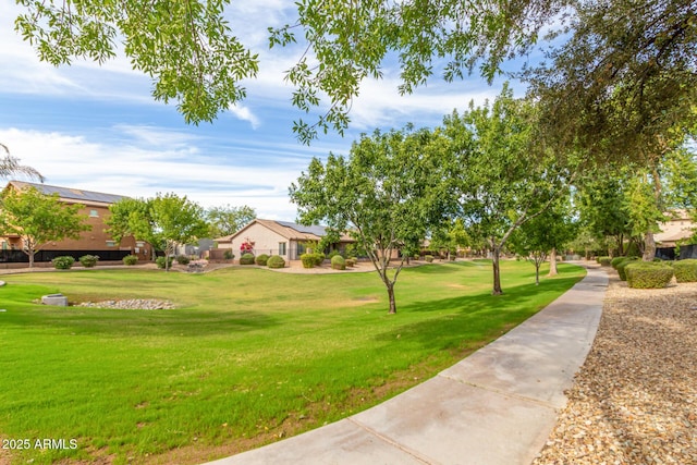 view of community featuring a yard