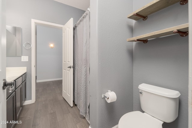 bathroom with hardwood / wood-style floors, vanity, and toilet