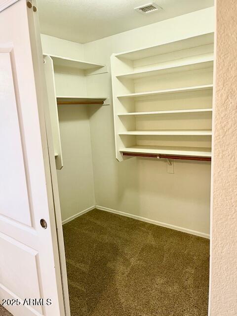 6376 W Adobe Dr, Glendale, AZ 85308 - spacious closet featuring dark colored carpet