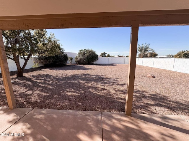 view of yard featuring a patio