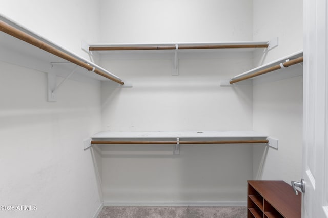 11400 E Helm Dr, Scottsdale, AZ 85255 - spacious closet with carpet flooring