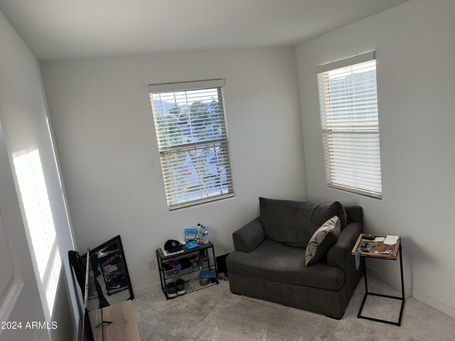 living area featuring a wealth of natural light and light colored carpet