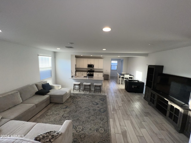 living room featuring light hardwood / wood-style floors and plenty of natural light