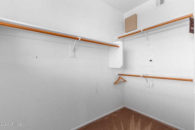 6745 N 93rd Ave Unit 1129, Glendale, AZ 85305 - walk in closet with carpet flooring
