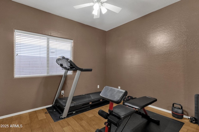 exercise area with hardwood / wood-style floors and ceiling fan