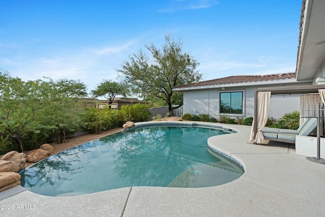 view of swimming pool with a patio