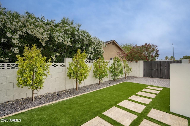 5441 E Wethersfield Rd, Scottsdale, AZ 85254 - view of yard with a patio area