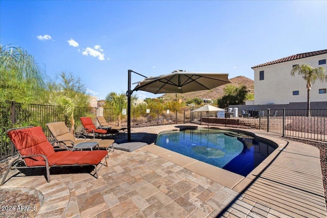 view of swimming pool with a patio